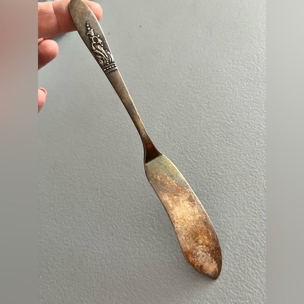Vintage Oneida 1847 Rogers Bros Stainless Flat Butter Knife – Floral Pattern